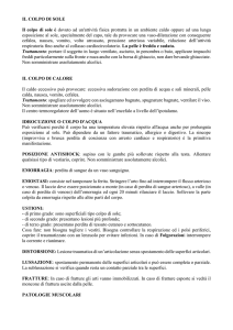 IL COLPO DI SOLE Il colpo di sole è dovuto ad un`attività fisica