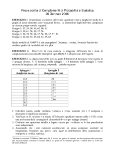 Prova gennaio 06