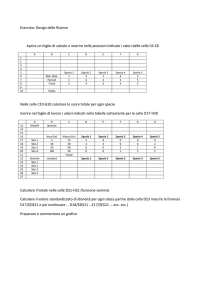 Esercizio: Design delle Riserve Aprire un foglio di calcolo e inserire