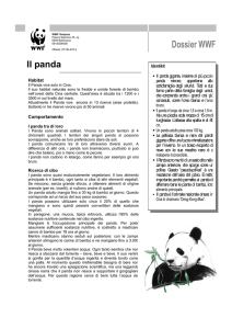 Dossier WWF - WWF Panda Club