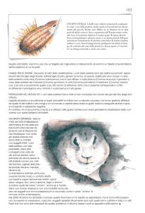 Questo animaletto, insomma, più che un flagello