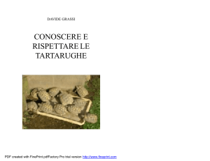 Libretto+tartarughe