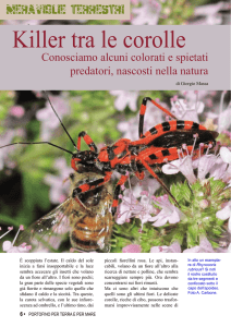 leggi tutto l`articolo sulla rivista dei parchi