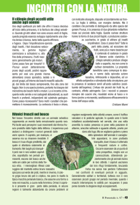 Il Forestale n. 60 - Corpo Forestale dello Stato
