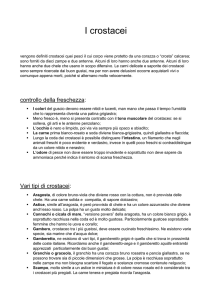 I crostacei e molluschi - Blog di studiandoallacesareritz