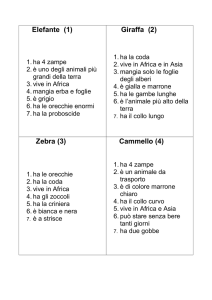 Elefante (1) Giraffa (2) Zebra (3) Cammello (4)