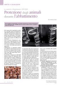Protezione degli animali durante l`abbattimento