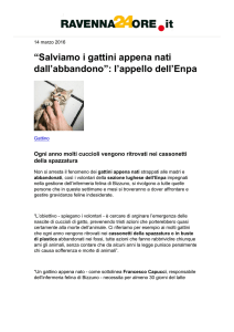 ﬁSalviamo i gattini appena nati dall™abbandonoﬂ