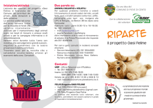 scarica il dépliant sul progetto Oasi Feline