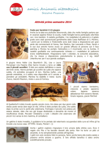 amici Animali altoatesini