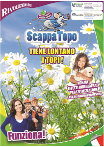 scarica la brochure