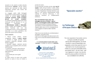 La tartaruga d`acqua dolce - Ambulatorio Veterinario MariVet