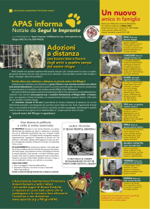 zampe tatuaggio gatto