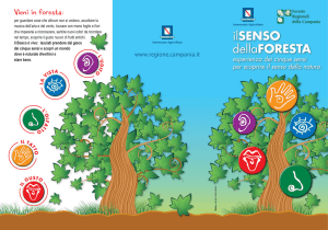 Depliant 5 Sensi 09-2009.fh11 - regione campania