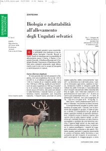 Biologia e adattabilità all`allevamento degli Ungulati selvatici