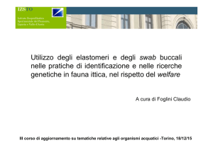 Foglini - istituto zooprofilattico sperimentale del piemonte, liguria e
