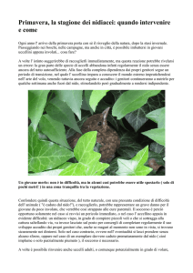 questo articolo