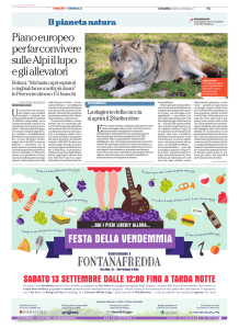 Piano europeo per far convivere sulle Alpi il lupo e gli