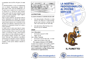 Il furetto - Clinica Veterinaria Borgarello