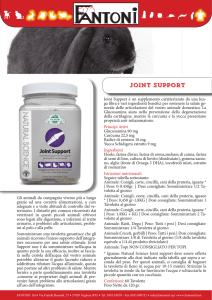 Joint Support - spazioesotico