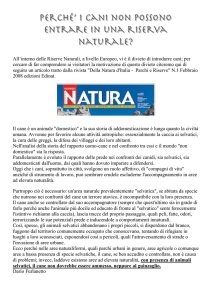 All`interno delle Riserve Naturali, a livello Europeo, vi è il divieto di