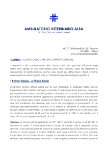AMBULATORIO VETERINARIO ALBA