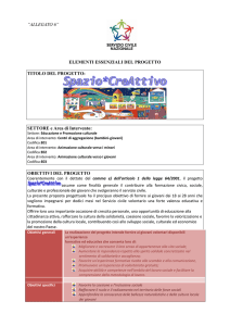 ministero della solidarieta` sociale – presidenza del consiglio dei