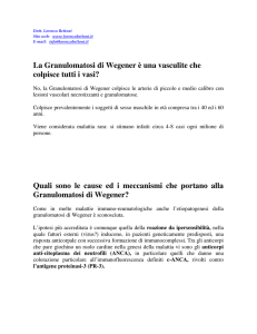 La Granulomatosi di Wegener è una vasculite che colpisce tutti i
