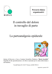 Il controllo del dolore in travaglio di parto La partoanalgesia epidurale