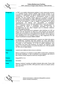 Febbre Mediterranea Familiare (FMF, sindrome di Siegal