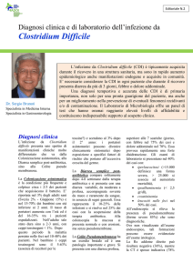 Clostridium Difficile