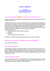 Rosanna Lambertucci Il Prof. STEFANO CIATTI