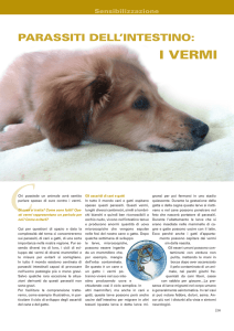 I vermi, parassiti dell`intestino Chi possiede un animale avrà sentito
