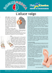 Scarica l`allegato