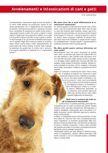 Avvelenamenti e intossicazioni di cani e gatti
