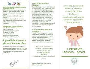 IL PAVIMENTO PELVICO COS`È? È possibile fare una ginnastica