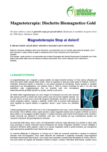 Magnetoterapia: Dischetto Biomagnetico Gold