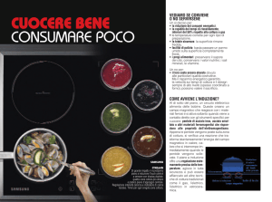 piani_induzione_files/piani a induzione