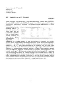Dislipidemia: Appunti di Medicina Interna (Ciccarelli)