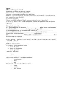 verifica apparato digerente