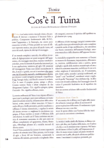 Cos'è Tuina (Carlo di Stanislao - giu 2002)