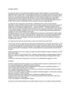 La Magia dei Nodi (1)