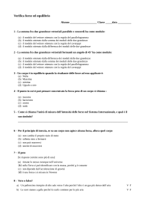 Verifica Forze ed Equilibrio: Esercizi di Fisica