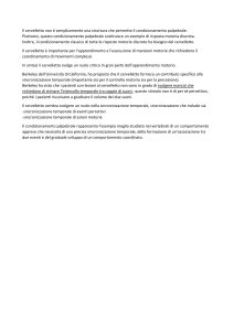 Il cervelletto non è semplicemente una struttura che permette il condizionamento palpebrale