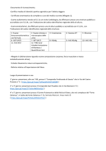 Documenti da produrre