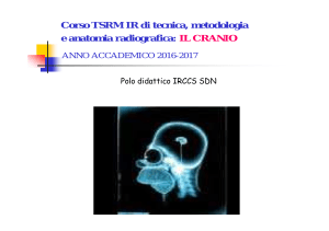 Anatomia Radiografica del Cranio: Tecnica e Metodologia