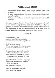 Veglia alle Stelle: Guida all'Osservazione e Leggende