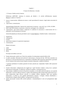 Museo: Istituzione e Azienda - Economia e Gestione
