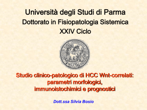 Bosio 12 dic 2014 def