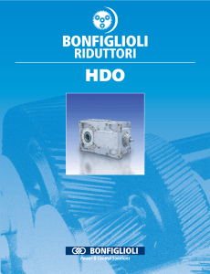 riduttori ortogonali Bonfiglioli